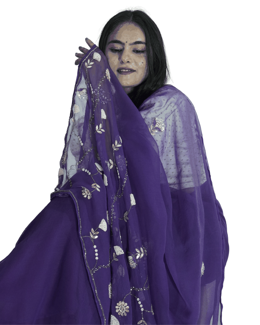 Woman gracefully posing in a deep purple handcrafted saree with sheer fabric and intricate floral embroidery, highlighting Amai Jaipur’s sustainable luxury ethnic wear inspired by Jaipur craftsmanship.