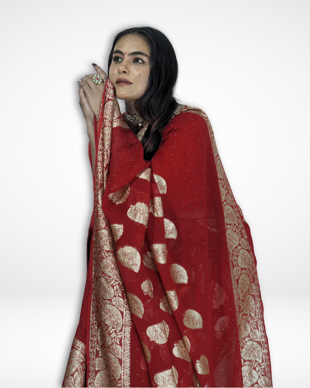 Close-up of a model wearing a red Banarasi chiffon saree with gold zari leaf motifs and intricate woven border, highlighting Amai Jaipur’s handcrafted luxury saree perfect for bridal wear, weddings, and festive ethnic fashion.