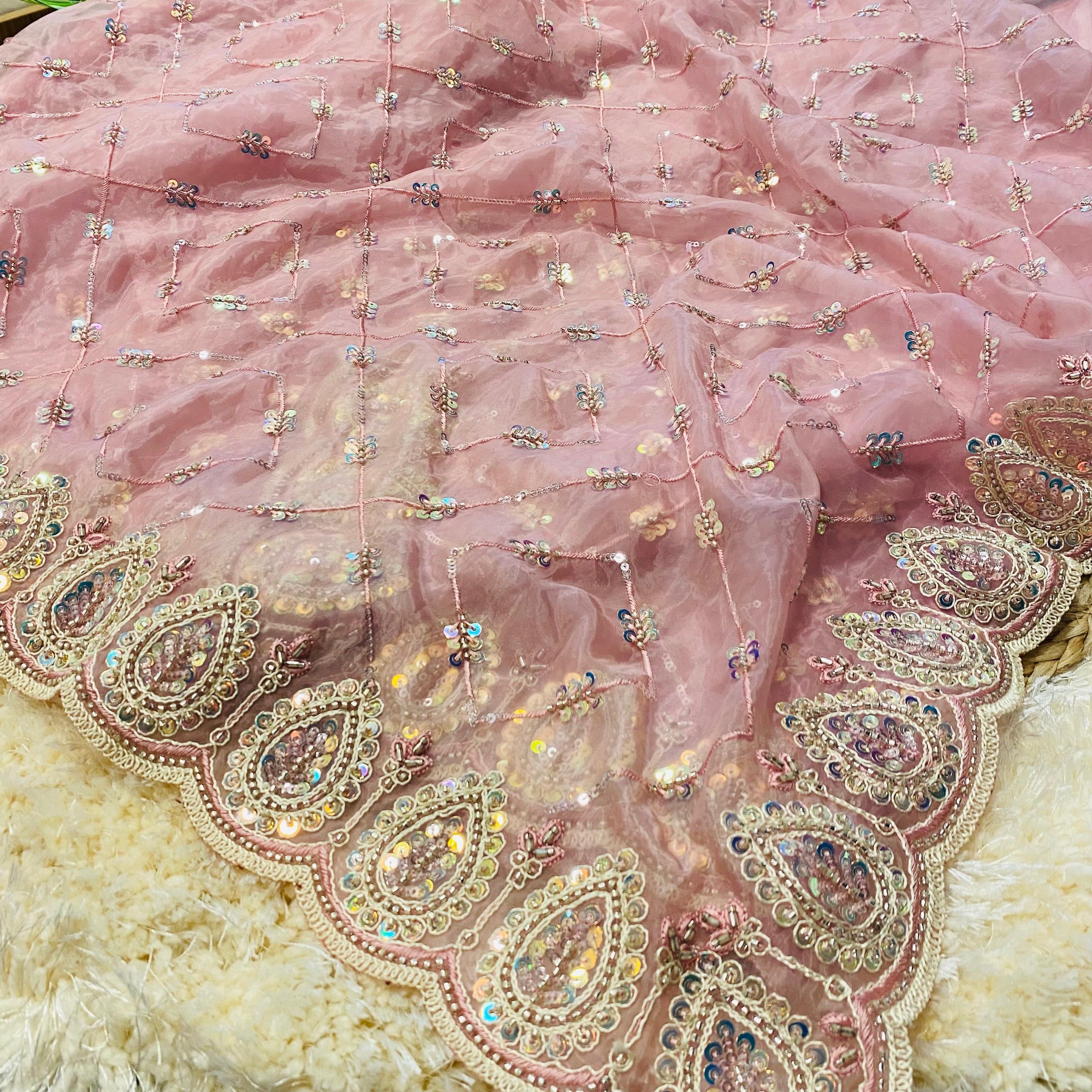 Close-up of a blush pink saree featuring an ornate paisley embroidered border with sequins and beadwork, paired with delicate diamond-pattern thread embroidery and scattered sequin accents on the soft fabric. ✨